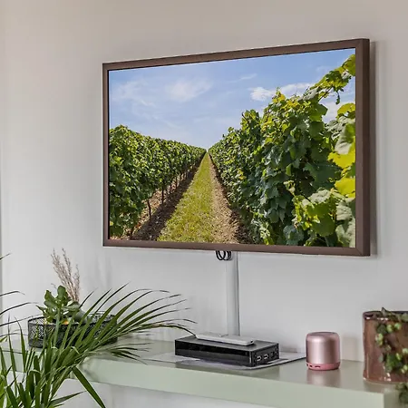 Appartement - Urlaub In Der Weinbergkoje Ruppertsberg