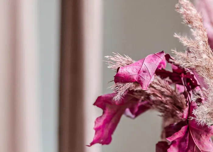 - Urlaub In Der Weinbergkoje Апартаменты Ruppertsberg