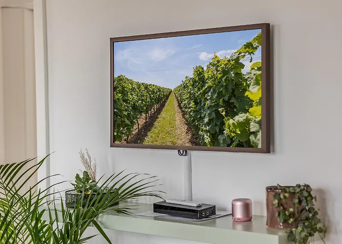 Apartamento - Urlaub In Der Weinbergkoje Ruppertsberg